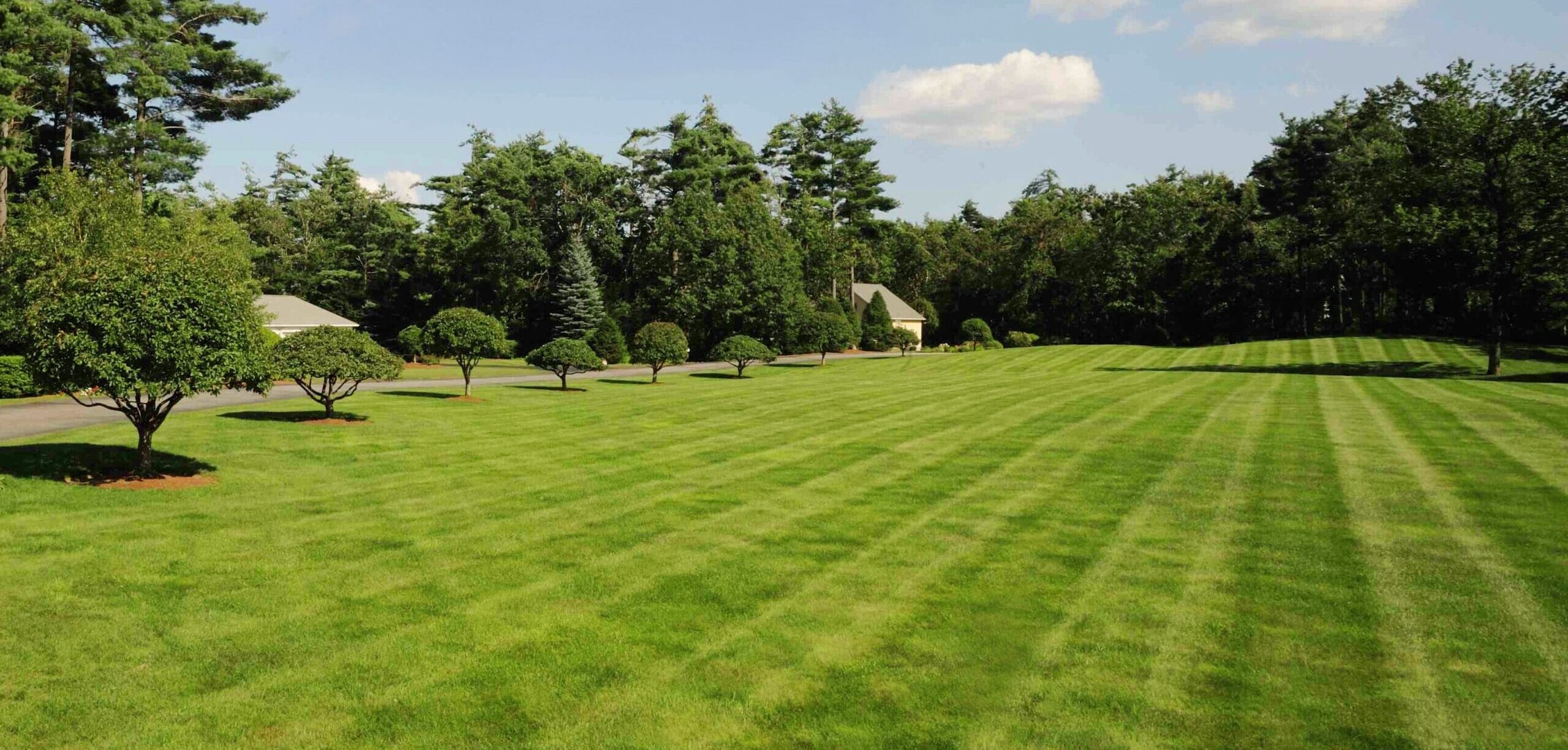 Lawn Mowing & Edging